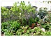 View full size picture