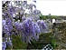 View full size picture