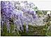 View full size picture