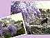 View full size picture
