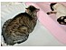 View full size picture