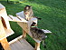 View full size picture
