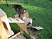 View full size picture