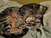 View full size picture
