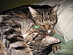 View full size picture