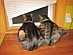 View full size picture