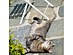 View full size picture