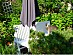 View full size picture