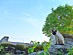 View full size picture