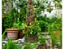 View full size picture