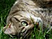 View full size picture