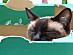 View full size picture