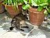 View full size picture
