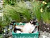 View full size picture