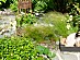 View full size picture