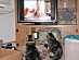 View full size picture