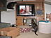 View full size picture