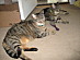 View full size picture