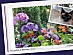 View full size picture