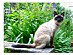 View full size picture