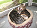 View full size picture