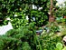 View full size picture
