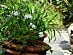 View full size picture