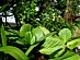 View full size picture