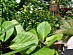 View full size picture