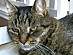 View full size picture