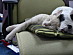 View full size picture