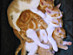 View full size picture