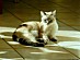 View full size picture