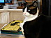 View full size picture