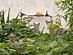 View full size picture