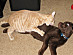 View full size picture