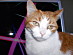 View full size picture