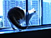 View full size picture