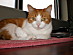 View full size picture