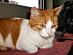 View full size picture