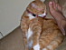 View full size picture