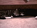 View full size picture