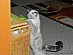 View full size picture