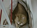 View full size picture