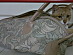View full size picture