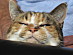 View full size picture