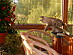 View full size picture