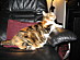 View full size picture