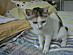 View full size picture