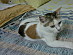 View full size picture